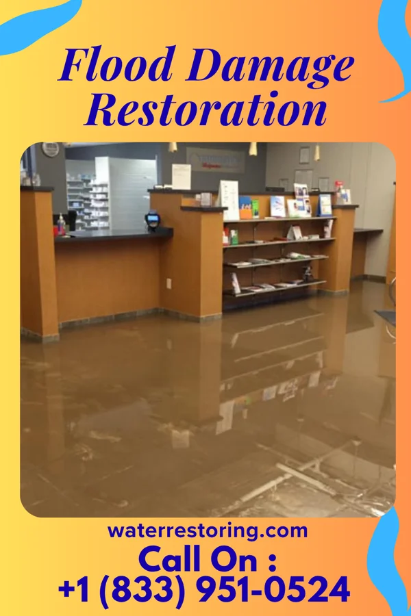 Flood Damage Restoration in Lower Grand Lagoon, FL