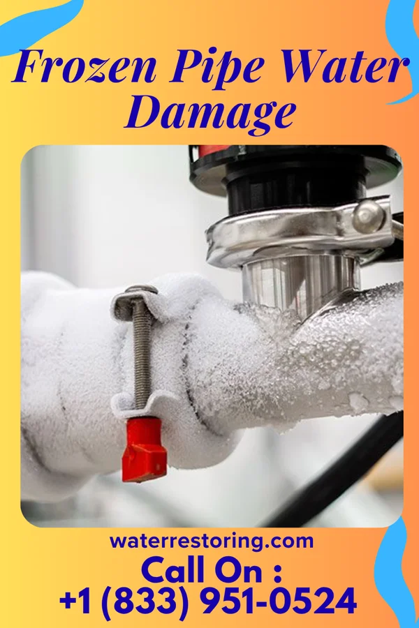 Frozen Pipe Water Damage in Lower Grand Lagoon, FL