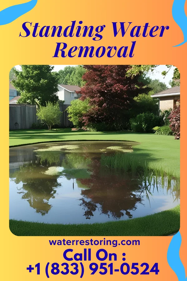 Standing Water Removal in Lower Grand Lagoon, FL